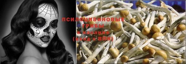МДМА Медвежьегорск